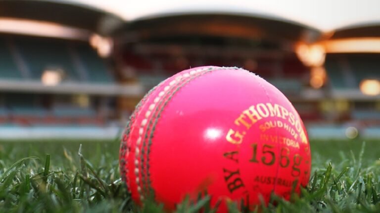 The Pink cricket Test ball